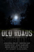 Cover: Old Roads (old gods) - S.A. Price