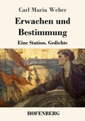Cover: Erwachen und Bestimmung - Henricus - Edition Deutsche Klassik GmbH, Berlin