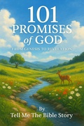 Cover: 101 Promises of God: From Genesis to Revelation (101 Study Collection) - Tell Me The Bible Story