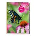Cover: TR&Ouml;TSCH - Taschenkalender A7 Schmetterling 2027 - Tr&ouml;tsch Verlag GmbH & Co. KG