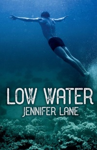 Enlarge image Cover: Low Water - Psyched Publishing