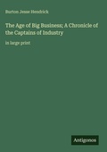 Cover: The Age of Big Business; A Chronicle of the Captains of Industry - Antigonos Verlag