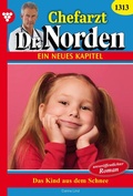 Cover: Das Kind aus dem Schnee - Blattwerk Handel