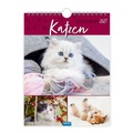 Cover: TR&Ouml;TSCH - Wochenkalender zum H&auml;ngen Katzen 2027 - Tr&ouml;tsch Verlag GmbH & Co. KG