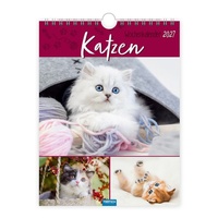 Enlarge image Cover: TRÖTSCH - Wochenkalender zum Hängen Katzen 2027 - Trötsch Verlag GmbH & Co. KG