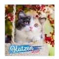 Cover: TR&Ouml;TSCH - Brosch&uuml;renkalender Katzen 2027 - Tr&ouml;tsch Verlag GmbH & Co. KG