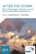 Cover: After the Storm - Ledizioni