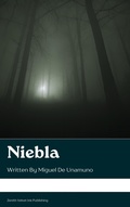 Cover: Niebla - Zenith Velvet Ink Publishing