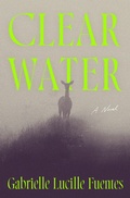 Cover: Clear Water - Flatiron Books