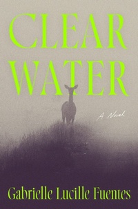 Enlarge image Cover: Clear Water - Flatiron Books