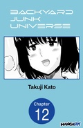 Cover: Backyard Junk Universe #012 - Square Enix