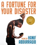 Cover: A Fortune for Your Disaster - Zando
