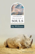 Cover: Concerning the Future of Souls - Zando