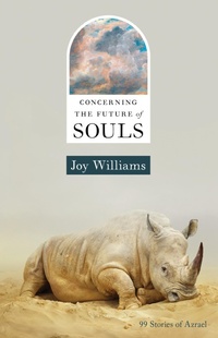 Enlarge image Cover: Concerning the Future of Souls - Zando