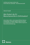 Cover: Wie f&ouml;rdert die EU Menschenrechte in Drittstaaten? - Nomos