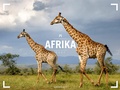 Cover: Afrika Gallery Kalender 2027 - Ackermann Kunstverlag
