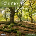 Bild: B&auml;ume Kalender 2027 - 30x30 - Art12 - Ackermann Kunstverlag