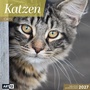 Bild: Katzen Kalender 2027 - 30x30 - Art12 - Ackermann Kunstverlag