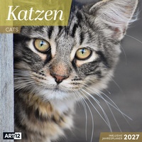 Bild vergrößern Bild: Katzen Kalender 2027 - 30x30 - Art12 - Ackermann Kunstverlag