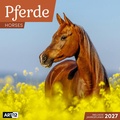 Cover: Pferde Kalender 2027 - 30x30 - Art12 - Ackermann Kunstverlag