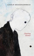Cover: Chasing Homer - NEW DIRECTIONS