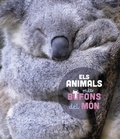 Cover: Els animals m&eacute;s bufons del m&oacute;n - Larousse