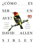 Cover: &iquest;C&oacute;mo es ser un ave? De volar a anidar, de comer a cantar... &iquest;Qu&eacute; hacen las aves y por qu&eacute;? - Anaya Multimedia