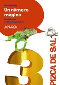 Cover: Un n&uacute;mero m&aacute;gico - ANAYA INFANTIL Y JUVENIL