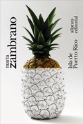 Cover: Isla de Puerto Rico - Alianza Editorial