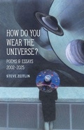 Cover: How Do You Wear The Universe? - Mediacs