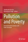 Cover: Pollution and Poverty - Springer