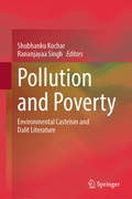 Cover: Pollution and Poverty - Springer