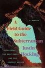 Cover: A Field Guide to the Subterranean - Counterpoint