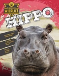 Cover: Hippo - Inquisitive Press