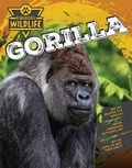 Cover: Gorilla - Inquisitive Press