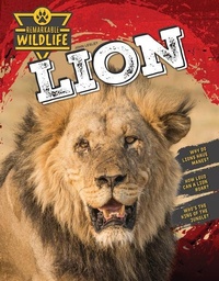 Enlarge image Cover: Lion - Inquisitive Press