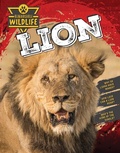 Cover: Lion - Inquisitive Press