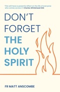 Cover: Don't Forget the Holy Spirit - Hodder & Stoughton