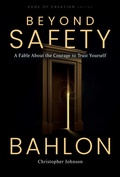 Cover: Beyond Safety - Joy House