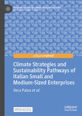 Cover: Climate Strategies and Sustainability Pathways of Italian Small and Medium-Sized Enterprises - Palgrave Macmillan