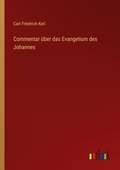 Cover: Commentar &uuml;ber das Evangelium des Johannes - Outlook Verlag
