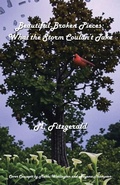 Cover: Beautiful Broken Pieces - Xlibris Us