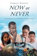 Cover: Now or Never - Newman Springs