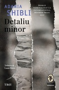 Cover: Detaliu minor - Publishdrive