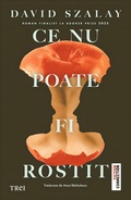 Cover: Ce nu poate fi rostit - Publishdrive