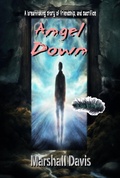 Cover: <div>Angel Down</div> - Write Trak LLC