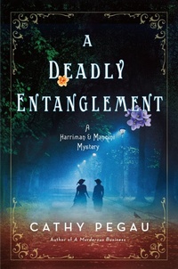 Enlarge image Cover: A Deadly Entanglement - Castle Point Books