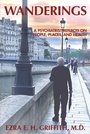 Cover: Wanderings - American Psychiatric Association Publishing
