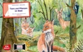 Cover: Tiere und Pflanzen im Wald. eKami - Don Bosco Medien