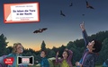 Cover: So leben die Tiere in der Nacht. eKami - Don Bosco Medien